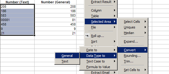 Convert Excel Data Types - Text, Number, Date, General
