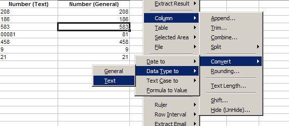 Convert Excel Data Types - Text, Number, Date, General