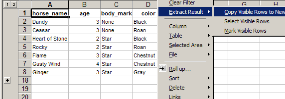 Excel filter - advanced & complex filtering